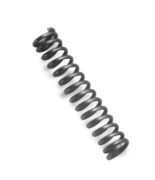 Trigger Spring