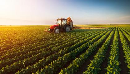 Agriculture