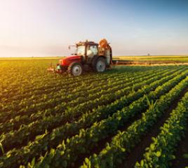Agriculture